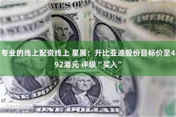 专业的线上配资线上 星展：升比亚迪股份目标价至492港元 评级“买入”