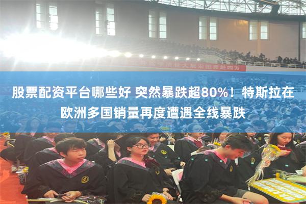 股票配资平台哪些好 突然暴跌超80%！特斯拉在欧洲多国销量再度遭遇全线暴跌