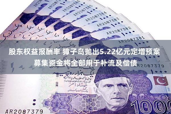 股东权益报酬率 獐子岛抛出5.22亿元定增预案 募集资金将全部用于补流及偿债