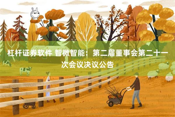杠杆证券软件 智微智能：第二届董事会第二十一次会议决议公告