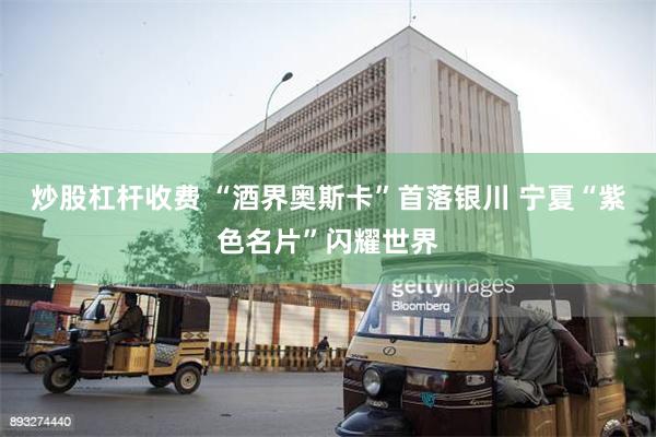 炒股杠杆收费 “酒界奥斯卡”首落银川 宁夏“紫色名片”闪耀世界
