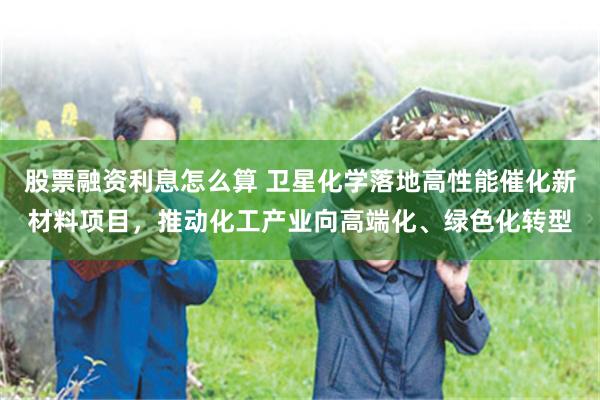 股票融资利息怎么算 卫星化学落地高性能催化新材料项目，推动化工产业向高端化、绿色化转型