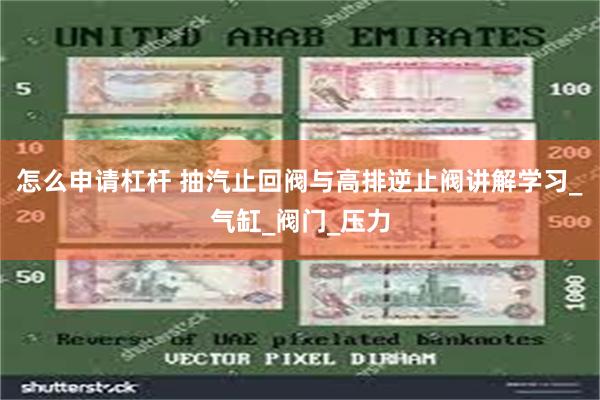 怎么申请杠杆 抽汽止回阀与高排逆止阀讲解学习_气缸_阀门_压力