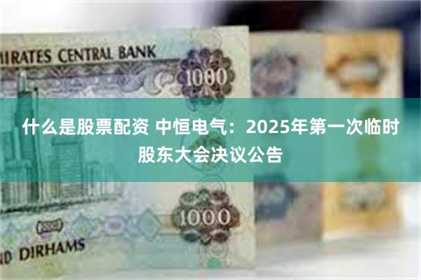 什么是股票配资 中恒电气：2025年第一次临时股东大会决议公告