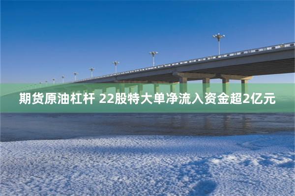 期货原油杠杆 22股特大单净流入资金超2亿元