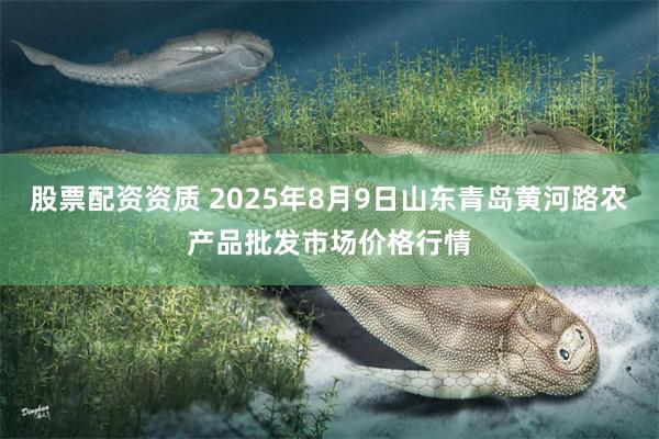 股票配资资质 2025年8月9日山东青岛黄河路农产品批发市场价格行情