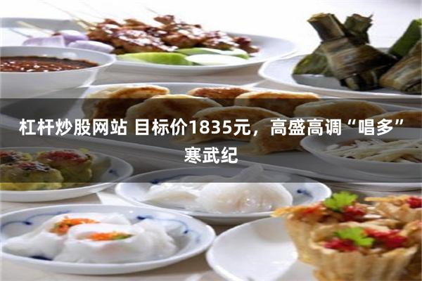 杠杆炒股网站 目标价1835元，高盛高调“唱多”寒武纪