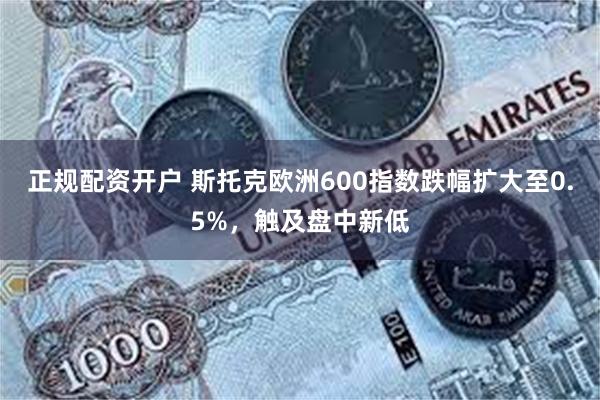 正规配资开户 斯托克欧洲600指数跌幅扩大至0.5%，触及盘中新低