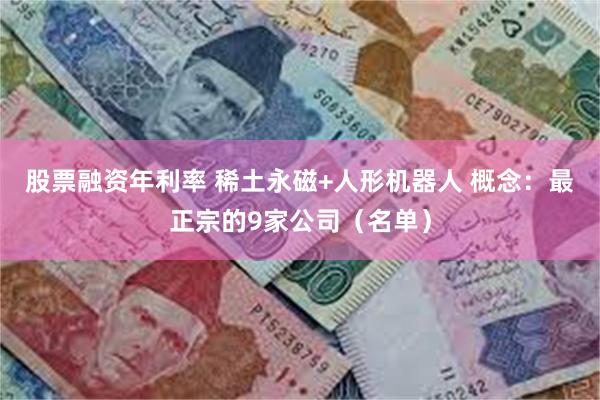 股票融资年利率 稀土永磁+人形机器人 概念：最正宗的9家公司（名单）