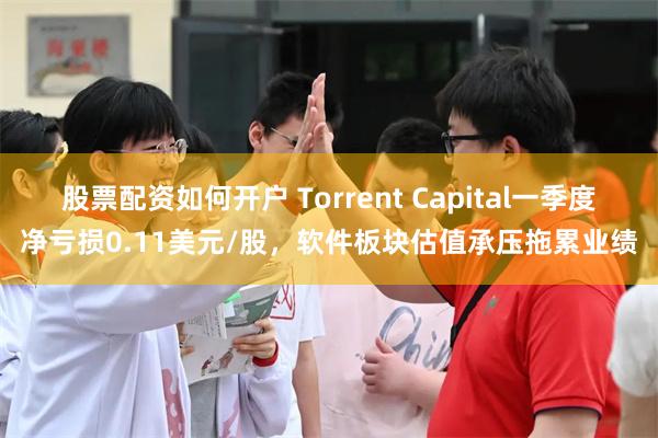 股票配资如何开户 Torrent Capital一季度净亏损0.11美元/股，软件板块估值承压拖累业绩