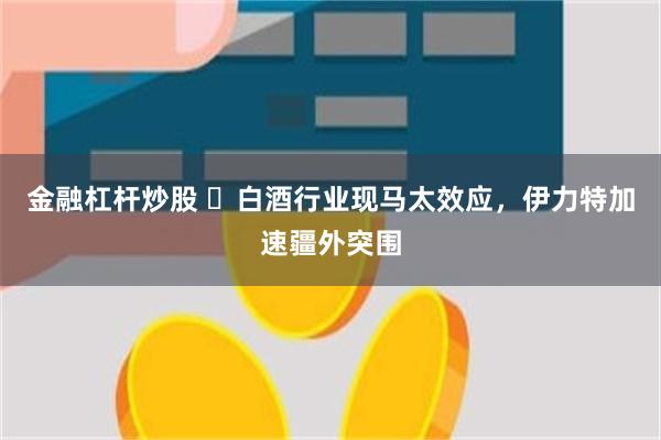 金融杠杆炒股 ​白酒行业现马太效应，伊力特加速疆外突围