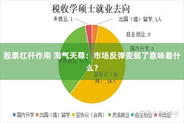 股票杠杆作用 淘气天尊:市场反弹变弱了意味着什么?