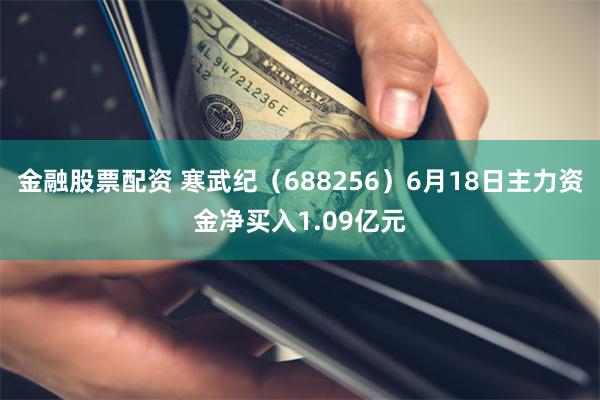 金融股票配资 寒武纪（688256）6月18日主力资金净买入1.09亿元