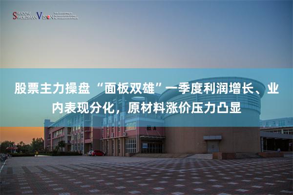 股票主力操盘 “面板双雄”一季度利润增长、业内表现分化，原材料涨价压力凸显