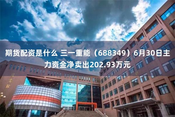 期货配资是什么 三一重能（688349）6月30日主力资金净卖出202.93万元