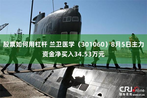 股票如何用杠杆 兰卫医学（301060）8月5日主力资金净买入34.53万元
