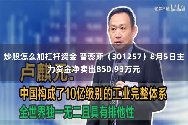 炒股怎么加杠杆资金 普蕊斯（301257）8月5日主力资金净卖出850.93万元