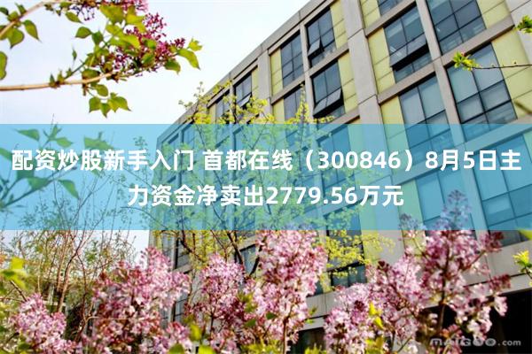 配资炒股新手入门 首都在线（300846）8月5日主力资金净卖出2779.56万元