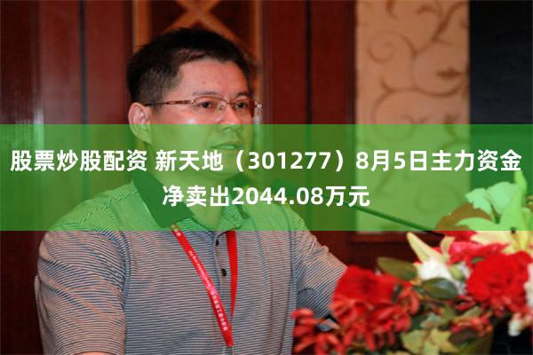 股票炒股配资 新天地（301277）8月5日主力资金净卖出2044.08万元