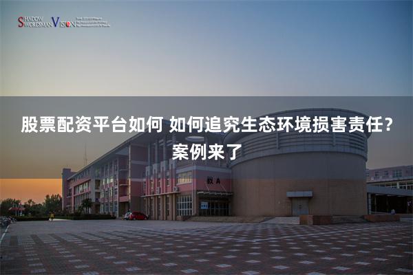 股票配资平台如何 如何追究生态环境损害责任？案例来了