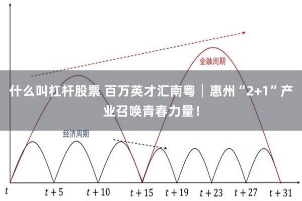 什么叫杠杆股票 百万英才汇南粤│惠州“2+1”产业召唤青春力量！
