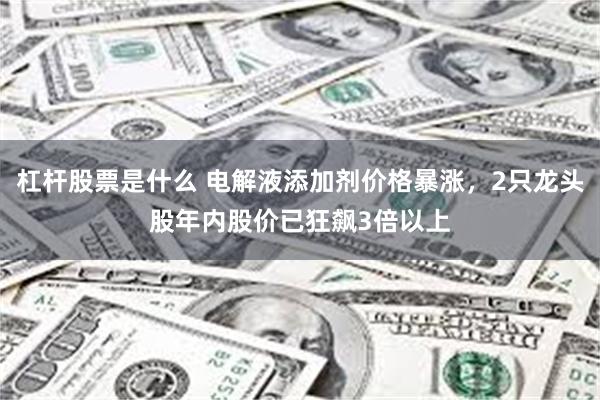 杠杆股票是什么 电解液添加剂价格暴涨，2只龙头股年内股价已狂飙3倍以上