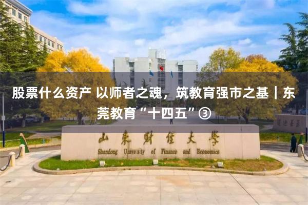 股票什么资产 以师者之魂,筑教育强市之基|东莞教育“十四五”③