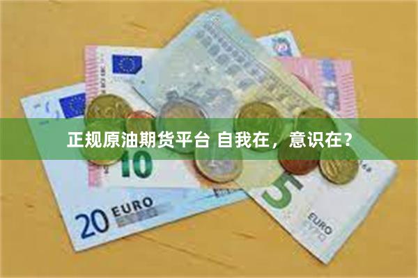 正规原油期货平台 自我在，意识在？