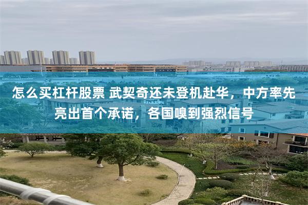怎么买杠杆股票 武契奇还未登机赴华，中方率先亮出首个承诺，各国嗅到强烈信号