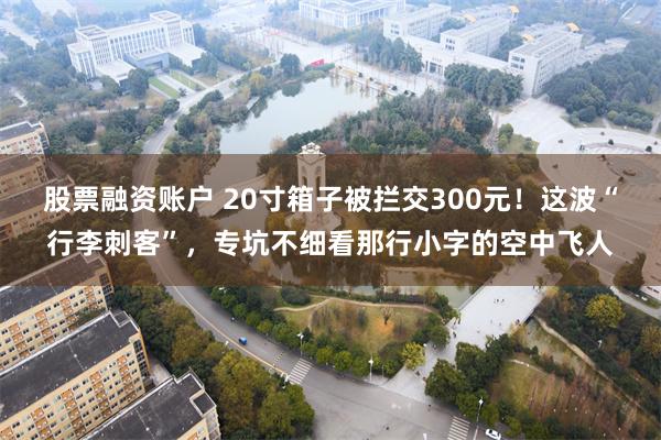 股票融资账户 20寸箱子被拦交300元！这波“行李刺客”，专坑不细看那行小字的空中飞人
