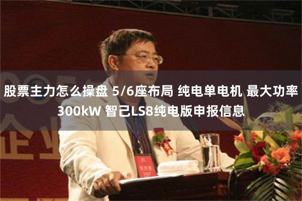 股票主力怎么操盘 5/6座布局 纯电单电机 最大功率300kW 智己LS8纯电版申报信息