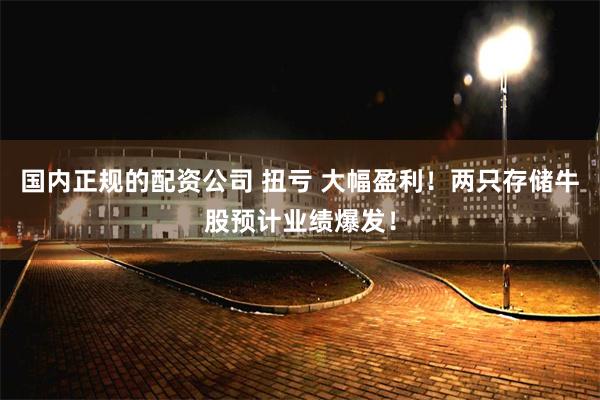 国内正规的配资公司 扭亏 大幅盈利!两只存储牛股预计业绩爆发!