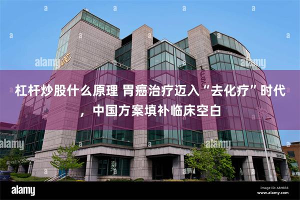 杠杆炒股什么原理 胃癌治疗迈入“去化疗”时代,中国方案填补临床空白