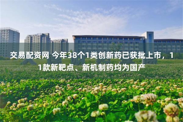 交易配资网 今年38个1类创新药已获批上市,11款新靶点、新机制药均为国产