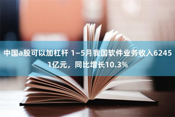 中国a股可以加杠杆 1—5月我国软件业务收入62451亿元，同比增长10.3%