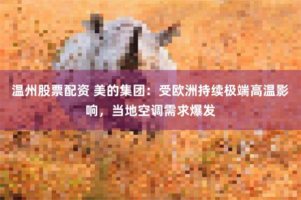 温州股票配资 美的集团：受欧洲持续极端高温影响，当地空调需求爆发