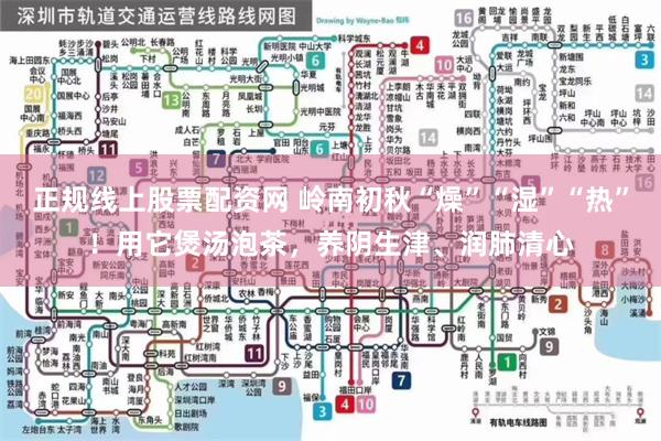 正规线上股票配资网 岭南初秋“燥”“湿”“热”！用它煲汤泡茶，养阴生津、润肺清心