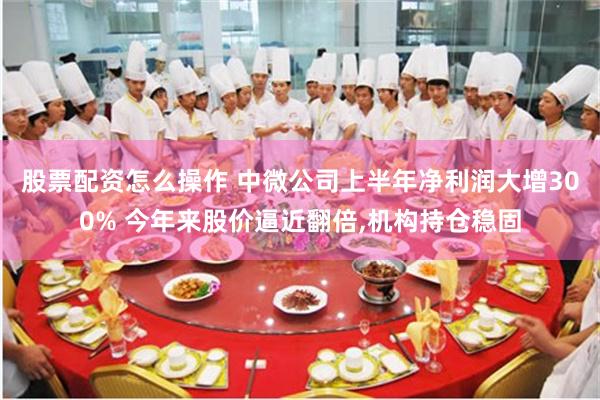 股票配资怎么操作 中微公司上半年净利润大增300% 今年来股价逼近翻倍,机构持仓稳固