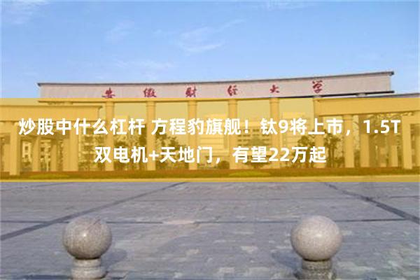 炒股中什么杠杆 方程豹旗舰！钛9将上市，1.5T双电机+天地门，有望22万起