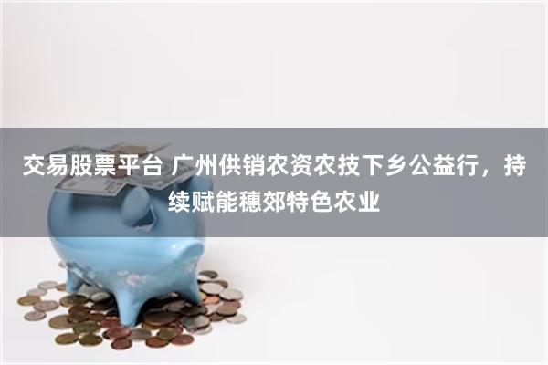交易股票平台 广州供销农资农技下乡公益行，持续赋能穗郊特色农业