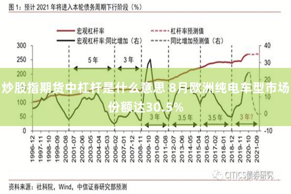 炒股指期货中杠杆是什么意思 8月欧洲纯电车型市场份额达30.5%