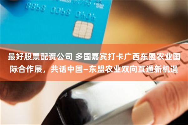最好股票配资公司 多国嘉宾打卡广西东盟农业国际合作展，共话中国—东盟农业双向互通新机遇