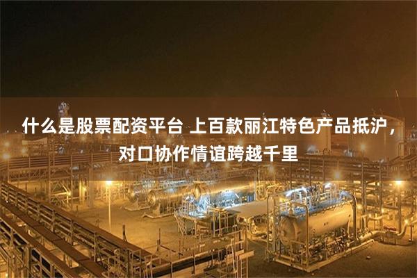 什么是股票配资平台 上百款丽江特色产品抵沪，对口协作情谊跨越千里