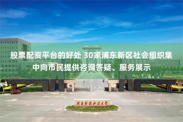 股票配资平台的好处 30家浦东新区社会组织集中向市民提供咨询答疑、服务展示