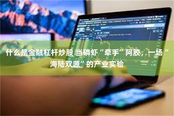 什么是金融杠杆炒股 当磷虾“牵手”阿胶，一场“海陆双源”的产业实验
