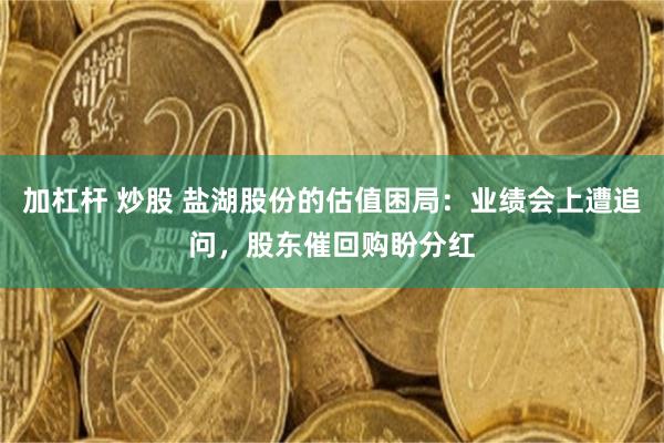 加杠杆 炒股 盐湖股份的估值困局：业绩会上遭追问，股东催回购盼分红