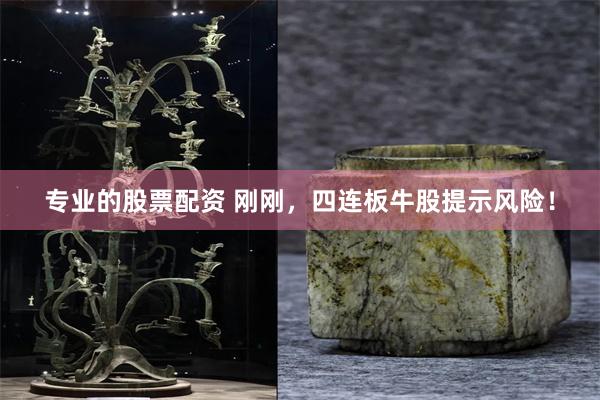 专业的股票配资 刚刚，四连板牛股提示风险！