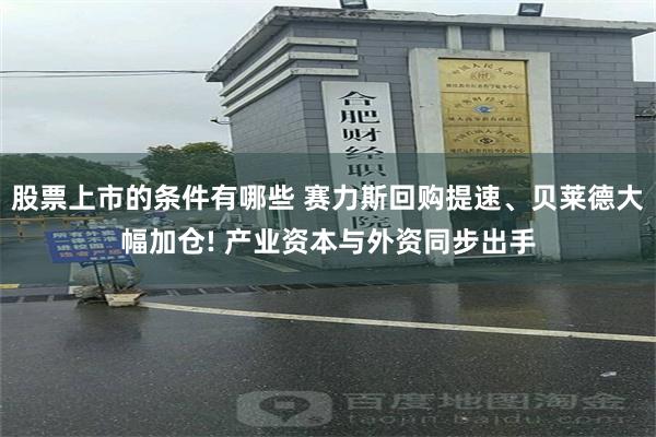 股票上市的条件有哪些 赛力斯回购提速、贝莱德大幅加仓! 产业资本与外资同步出手