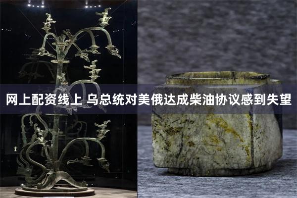 网上配资线上 乌总统对美俄达成柴油协议感到失望
