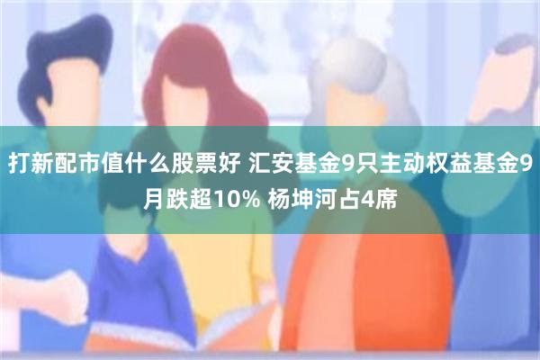 打新配市值什么股票好 汇安基金9只主动权益基金9月跌超10% 杨坤河占4席